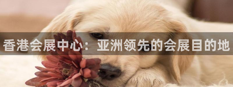 下载果博博东方下载：香港会展中心：亚洲领