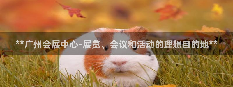 果博代理电话多少：**广州会展中心-展览