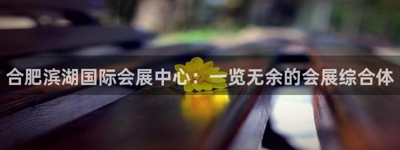 下载果博博东方下载：合肥滨湖国际会展中心