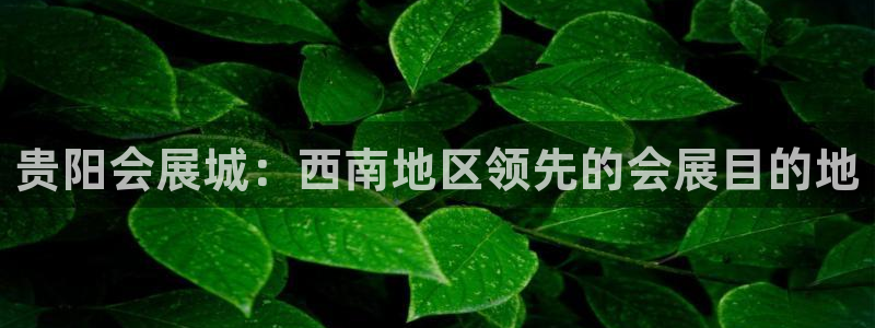 果博公司怎么开户：贵阳会展城：西南地区领先的会展目的地