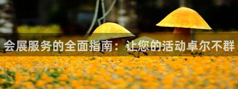 苹果电脑可以下载博易大师吗：会展服务的全面指南：让您的活动卓尔不群