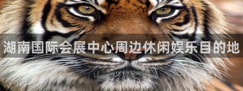 果博平台客服电话：湖南国际会展中心周边休闲娱乐目的地