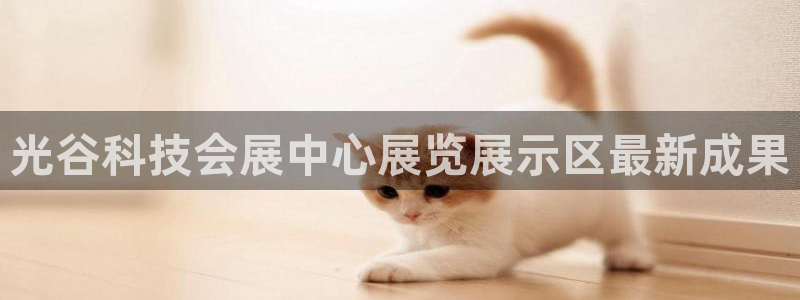 果博官网客服电话号码是多少：光谷科技会展