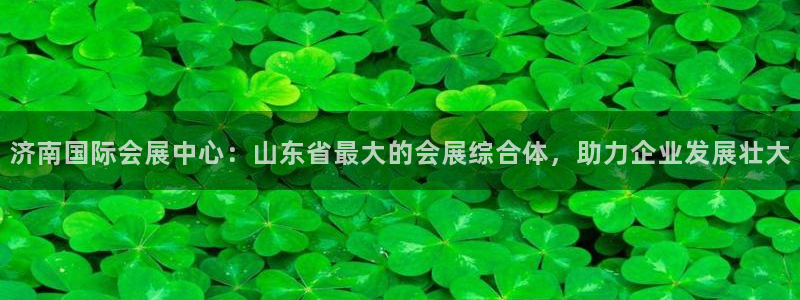 果博官网客服：济南国际会展中心：山东省最
