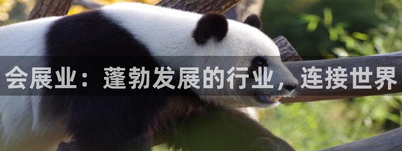 果博官方热线