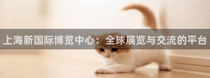 果博平台开户电话号码：上海新国际博览中心：全球展览与交流的平台