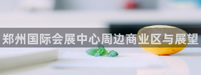 果博手机版官方下载：郑州国际会展中心周边商业区与展望