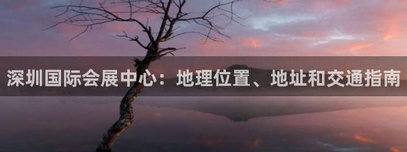 果博公司在线客服：深圳国际会展中心：地理位置、地址和交通指南