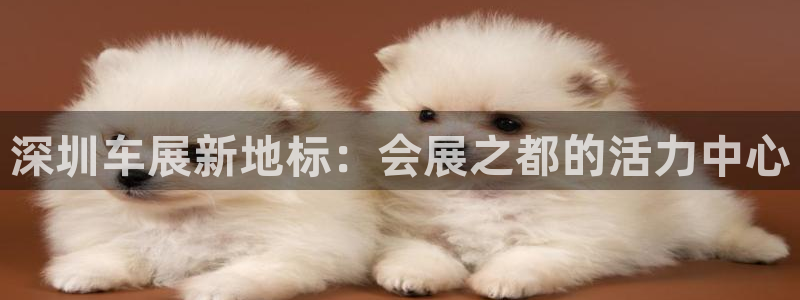 果博公司电话：深圳车展新地标：会展之都的