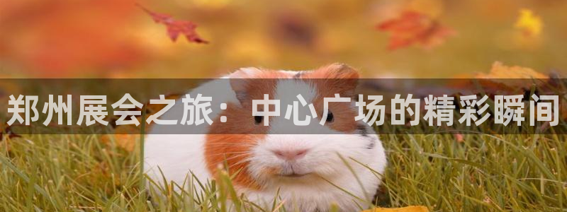下载果博博东方