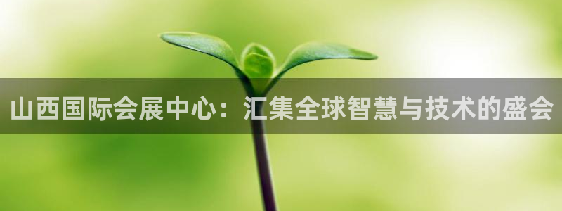 果博官网在银博