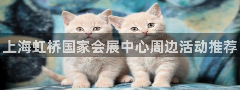 果博管理网：上海虹桥国家会展中心周边活动
