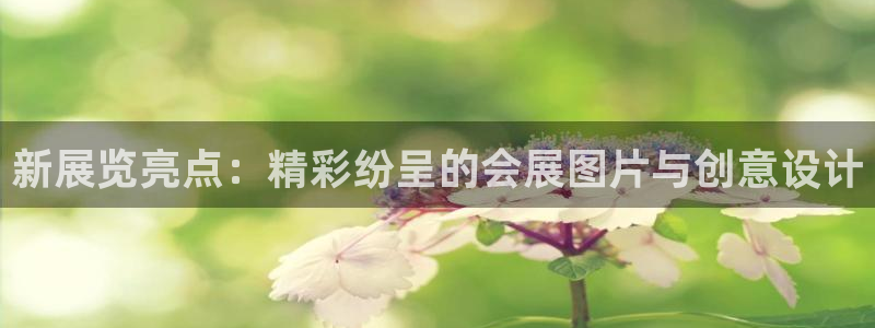 果博手机版官方下载：新展览亮点：精彩纷呈