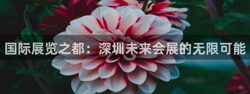 果搏代理：国际展览之都：深圳未来会展的无