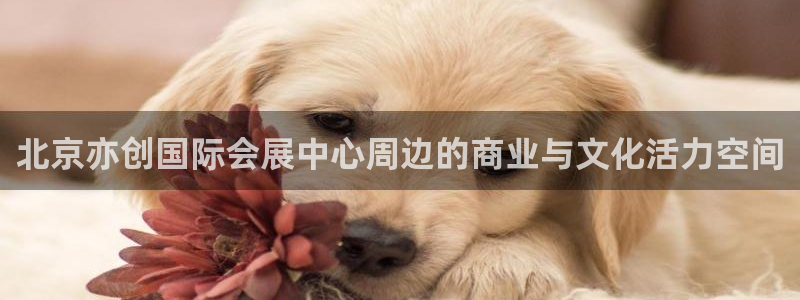 果博平台开户电话查询：北京亦创国际会展中心周边的商业与文化活力空间