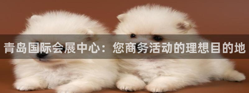果博注册平台怎么注册账号：青岛国际会展中心：您商务活动的理想目的地