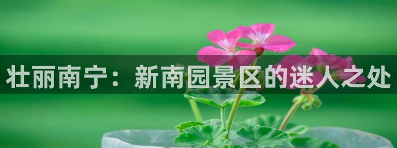 果博官网：壮丽南宁：新南园景区的迷人之处