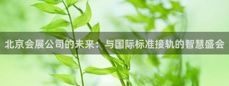 果博注册充值多少钱：北京会展公司的未来：与国际标准接轨的智慧盛会