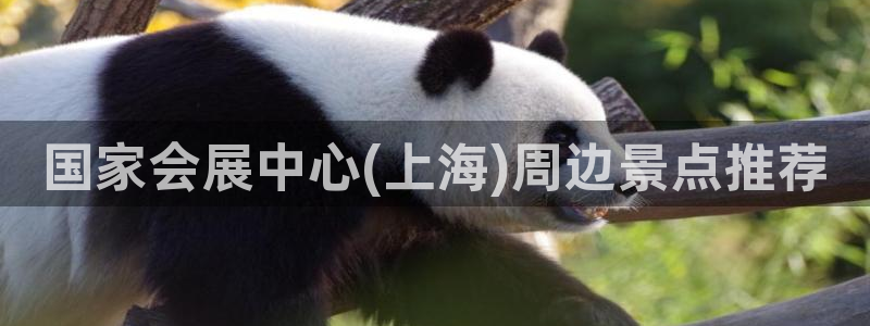 果博注册会员：国家会展中心(上海)周边景点推荐