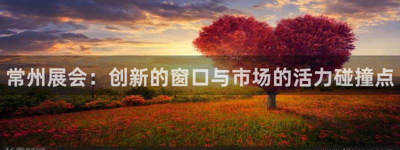 果博官网客服电话号码：常州展会：创新的窗口与市场的活力碰撞点
