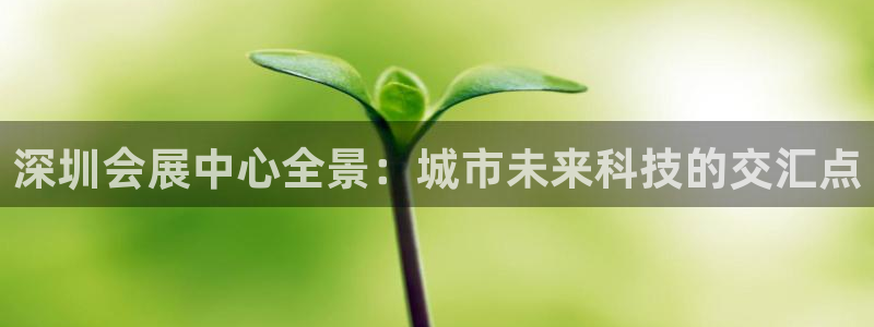 果博官网：深圳会展中心全景：城市未来科技的交汇点