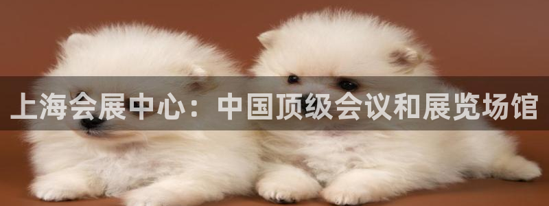 果博注册平台怎么注册账号：上海会展中心：中国顶级会议和展览场馆
