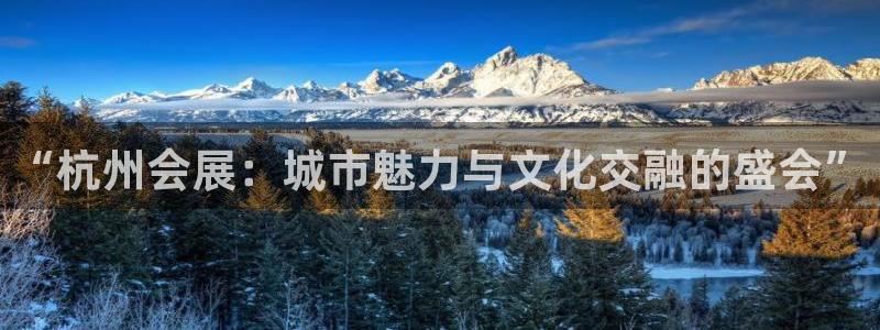 果博平台真实吗知乎推荐：“杭州会展：城市魅力与文化交融的盛会”