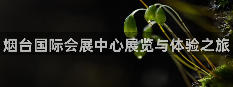 果博注册会员多少钱：烟台国际会展中心展览与体验之旅