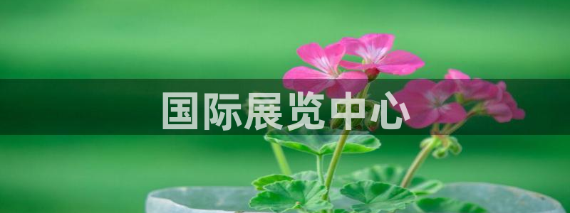 果博有假吗：国际展览中心