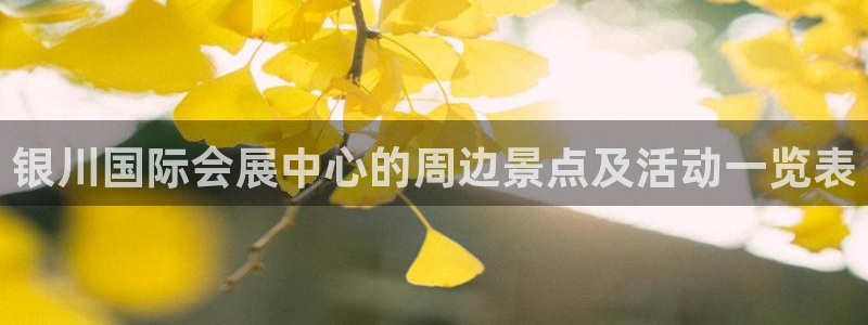 果博东官方网站怎么下载：银川国际会展中心的周边景点