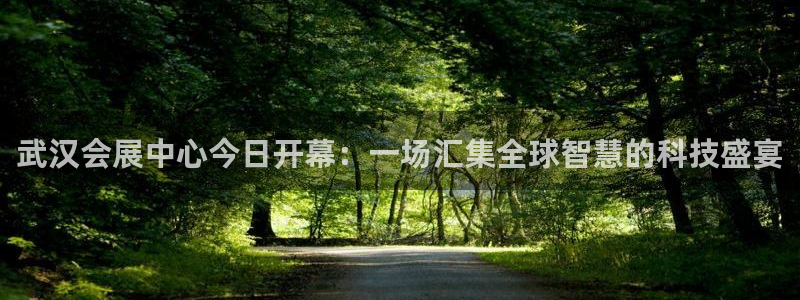 果博代理：武汉会展中心今日开幕：一场汇集全球智慧的科技盛宴