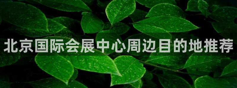 苹果电脑怎么下载博弈大师等软件：北京国际