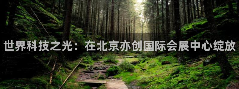 果博公司开户注册：世界科技之光：在北京亦创国际会展中心绽放