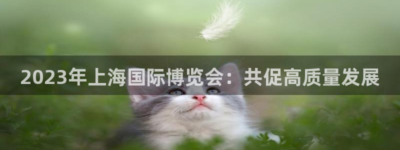 果博公司客服电话号码：2023年上海国际博览会：共促高质量发展