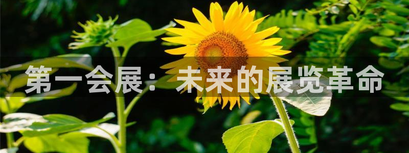 果博公司会员注册账号：第一会展：未来的展览革命