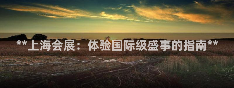 果博公司在线客服：**上海会展：体验国际级盛事的指南**