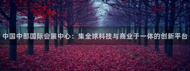 果博注册平台怎么注册不了：中国中部国际会