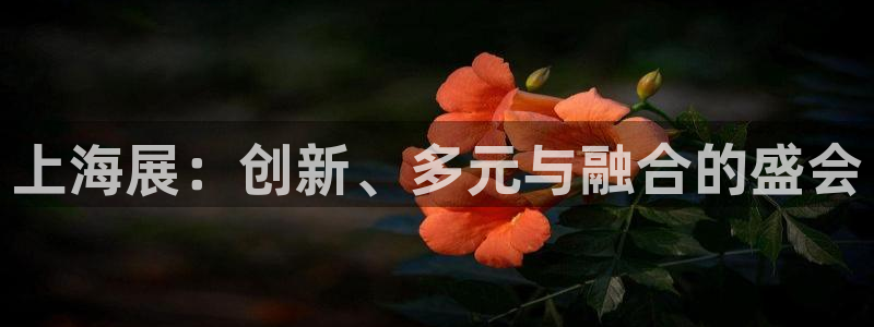 果博公司会员注册账号开户：上海展：创新、多元与融合的盛会