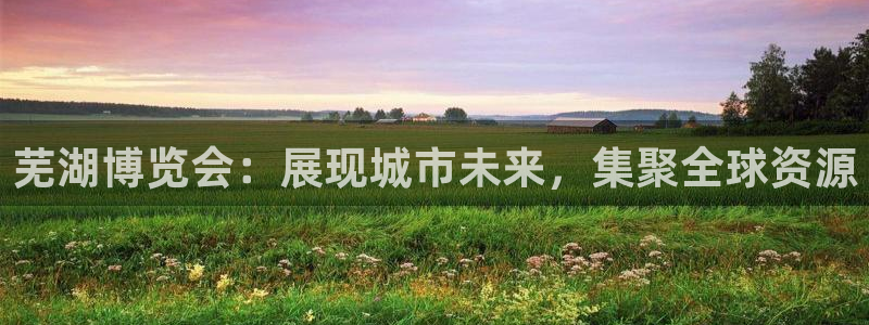 果博公司客服电话多少：芜湖博览会：展现城市未来，集聚全球资源