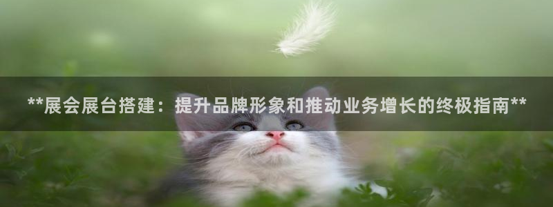 果博真人：**展会展台搭建：提升品牌形象