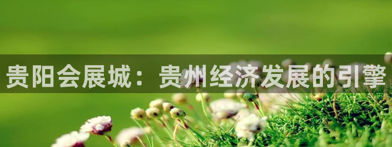 果博真人：贵阳会展城：贵州经济发展的引擎