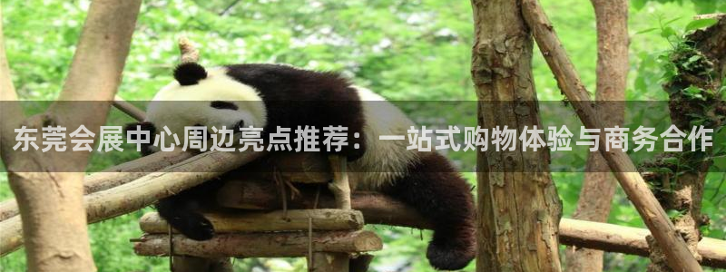 果博公司在线客服：东莞会展中心周边亮点推