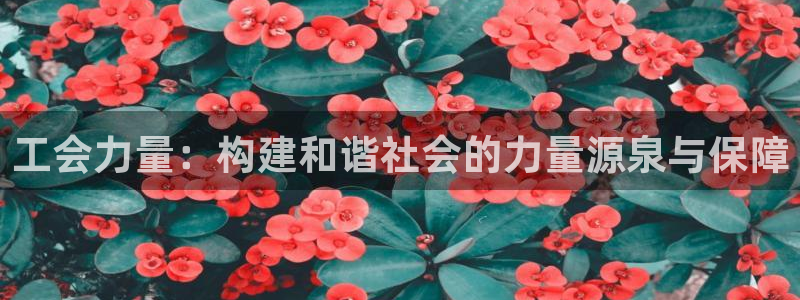 果博注册客服电话是多少：工会力量：构建和