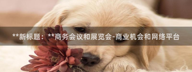果博注册会员要钱吗：**新标题：**商务会议和展览会-商业机会和网络平台