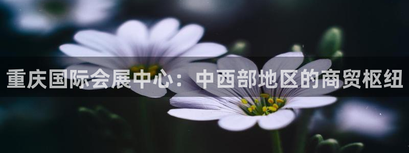 下载果博app：重庆国际会展中心：中西部地区的商贸枢纽