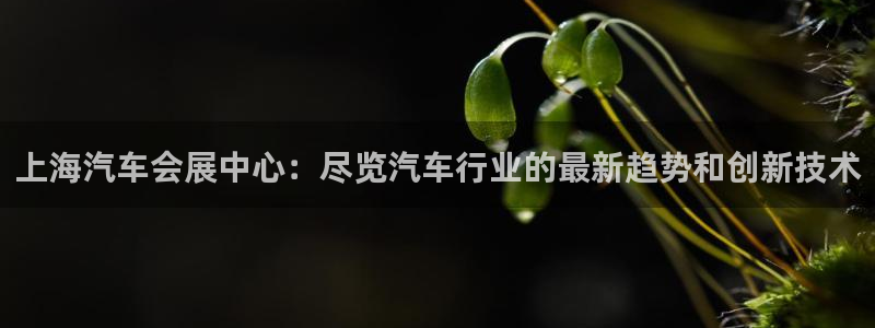 果博环保公司：上海汽车会展中心：尽览汽车行业的最新趋势和创新技术