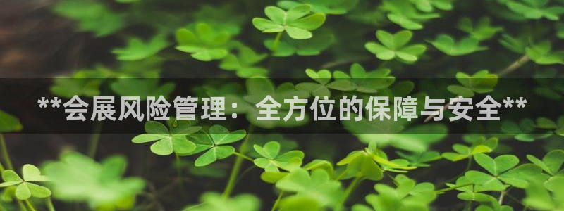果博注册会员维wckk389：**会展风险管理：全方位的保障与安全**