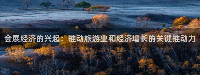 果博上分电话：会展经济的兴起：推动旅游业和经济增长的关键推动力