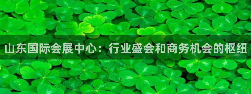 苹果电脑可以下载博易大师吗：山东国际会展中心：行业盛会和商务机会的枢纽