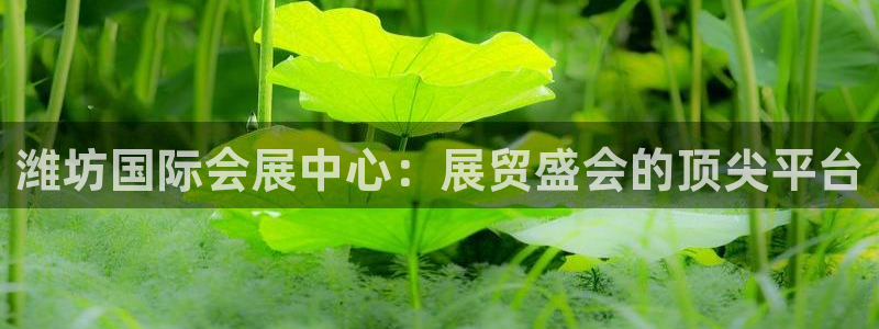 果博公司客服怎么样：潍坊国际会展中心：展贸盛会的顶尖平台